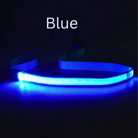 Glowing LED USB Rechargeable Dog Leash - Free Shipping