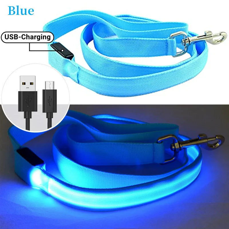 Glowing LED USB Rechargeable Dog Leash - Free Shipping