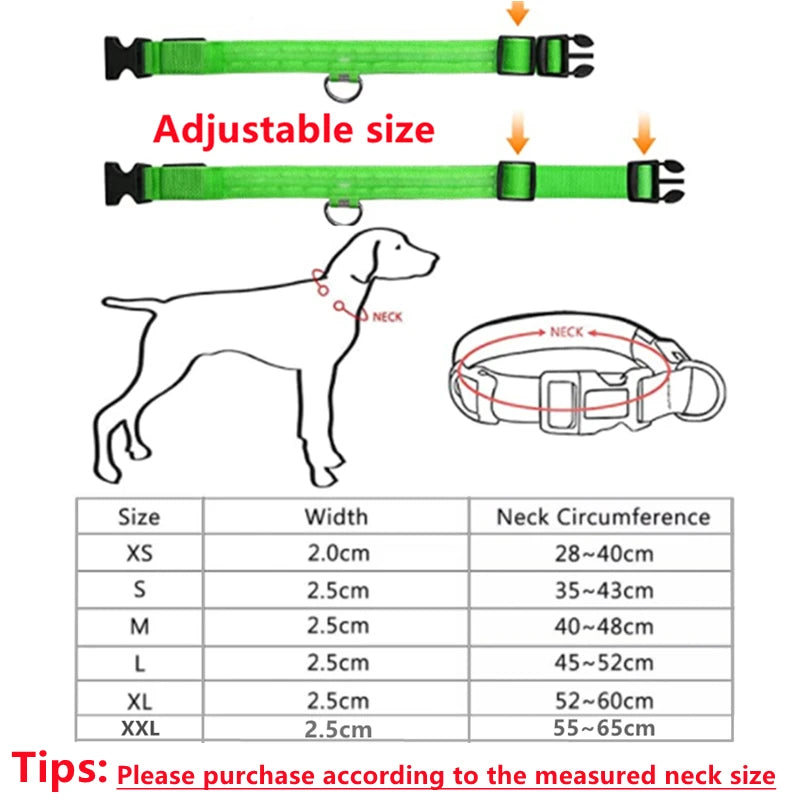Glo Guard Led Luminous Dog Collar - FREE Shipping