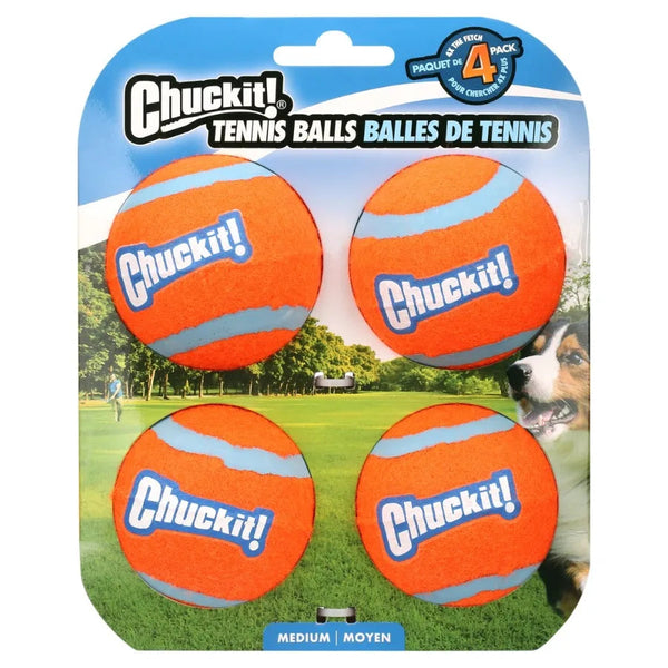 Bouncy Dog Fetch Balls