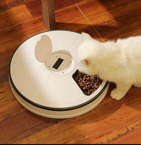 Automatic Pet Feeder for Cats and Dogs - Dry or Wet Food Dispenser - 6 Meal Tray