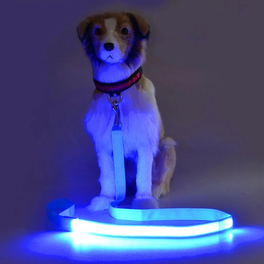 Glowing LED USB Rechargeable Dog Leash - Free Shipping