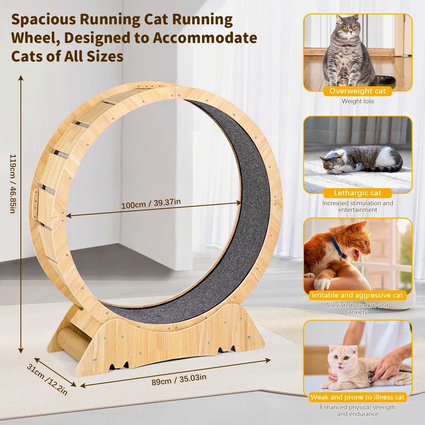 Fit Feline XL Cat Treadmill Wheel - FAST & FREE US Shipping!