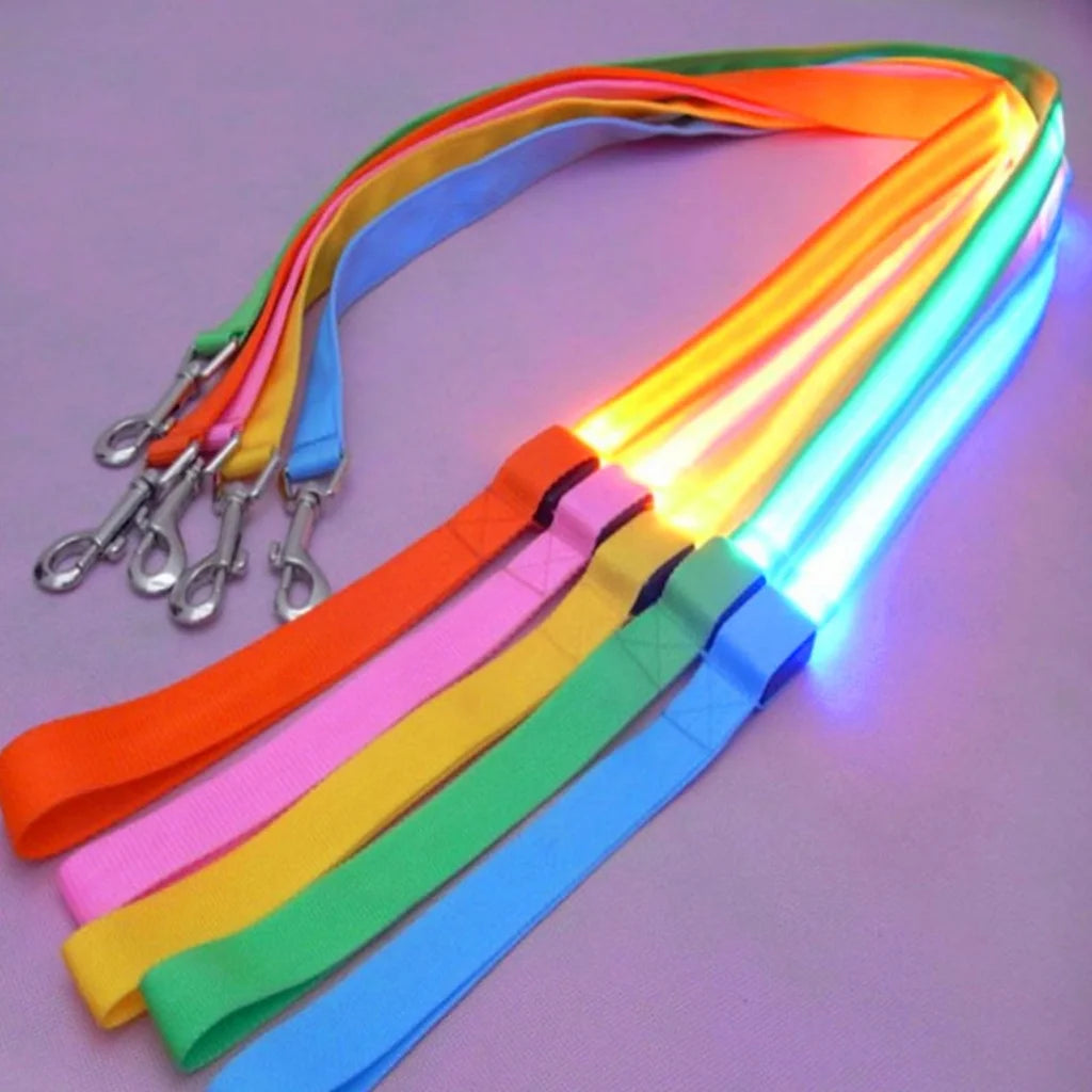 Glowing LED USB Rechargeable Dog Leash - Free Shipping