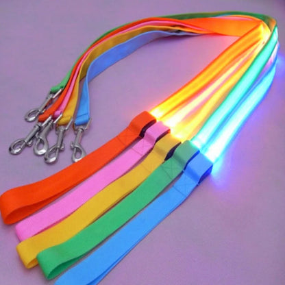 Glowing LED USB Rechargeable Dog Leash - Free Shipping