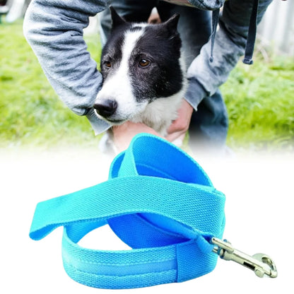 Glowing LED USB Rechargeable Dog Leash - Free Shipping