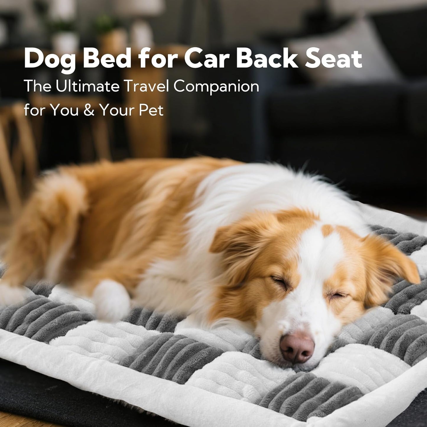 Cozy Paw Pet Mat for Backseat Extender