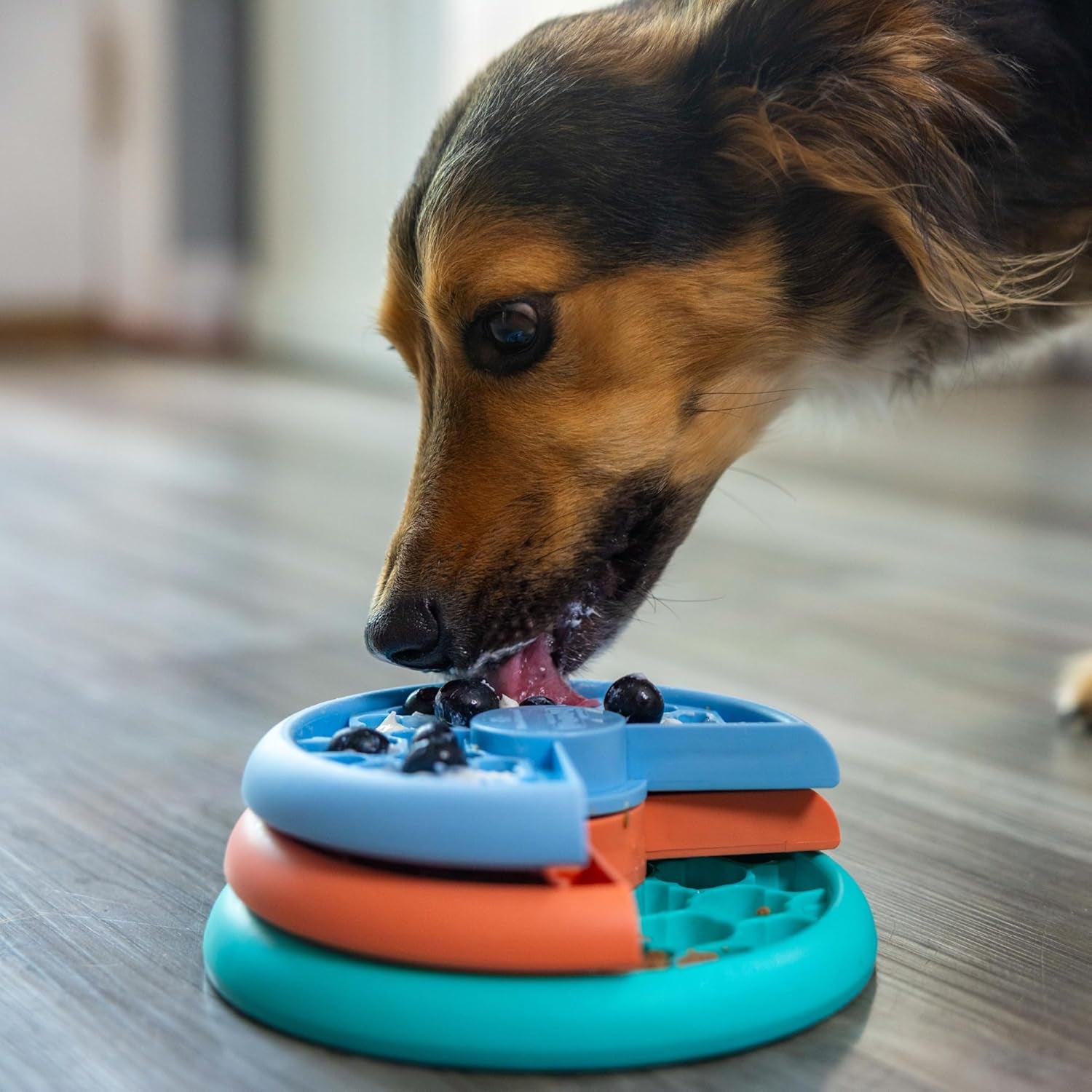  Lickin’ Layers Small 3-In-1 Dog Puzzle Feeder