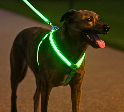 Glow Guard™ USB Rechargeable LED No-Pull Dog Harness - FAST & FREE US Shipping!