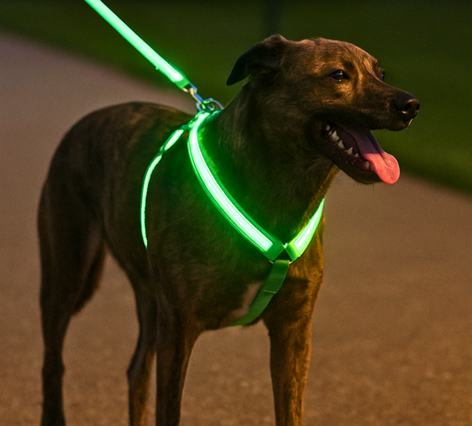 Glow Guard™ USB Rechargeable LED No-Pull Dog Harness - FAST & FREE US Shipping!