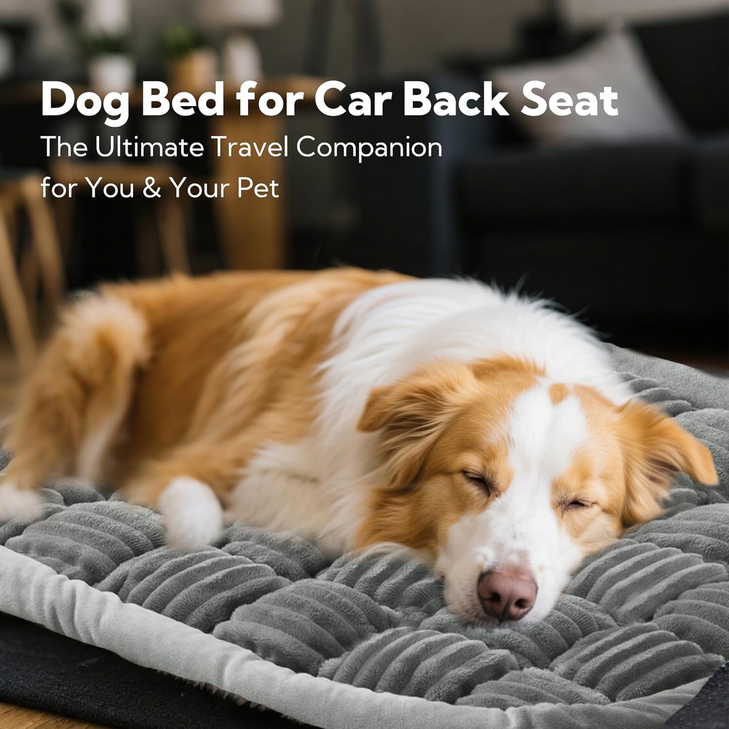 CozyPaw Backseat Pet Mat