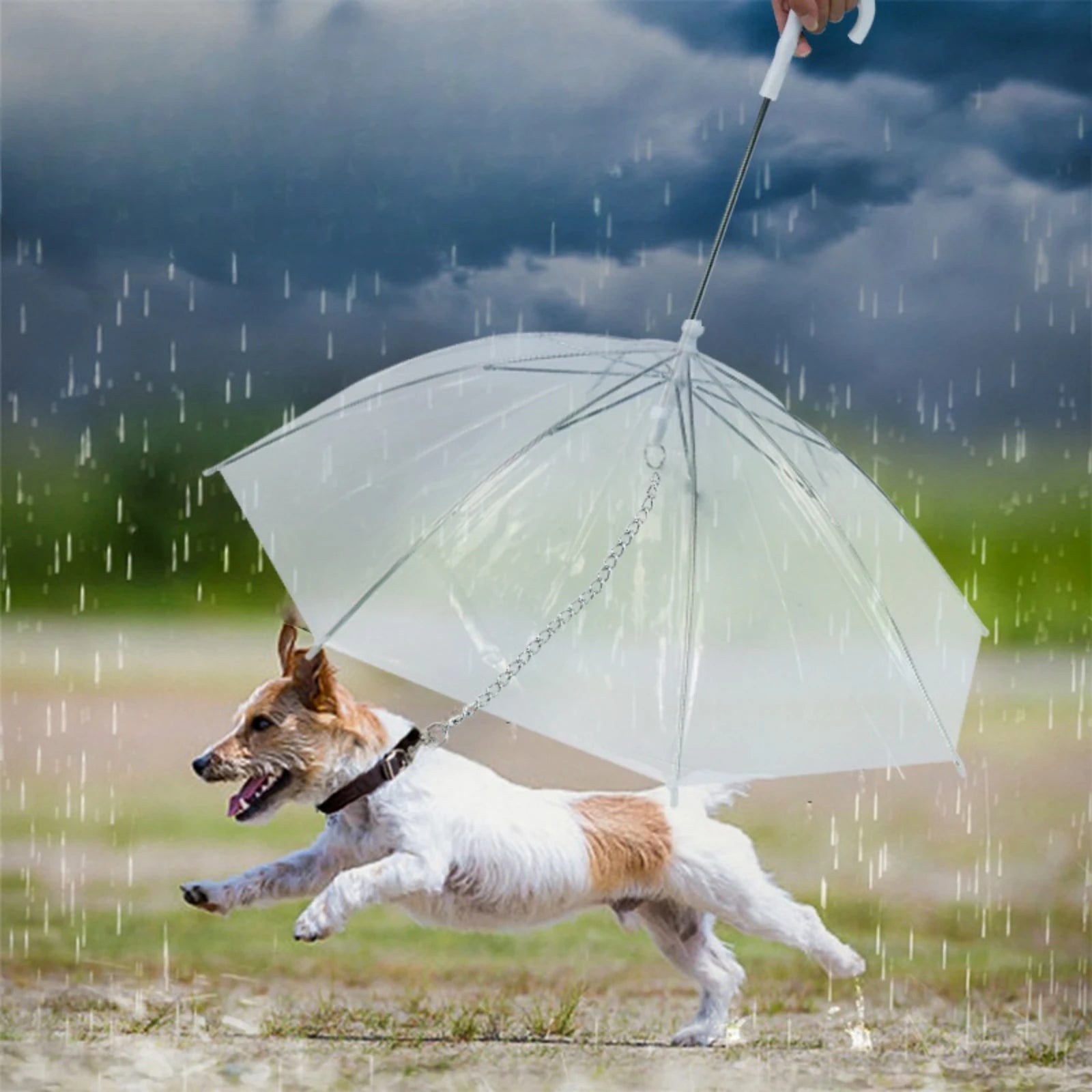 PawShield™ Pet Umbrella