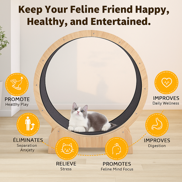 Fit Feline XL