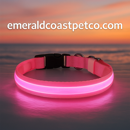 Glo Guard Led Luminous Dog Collar - FREE Shipping
