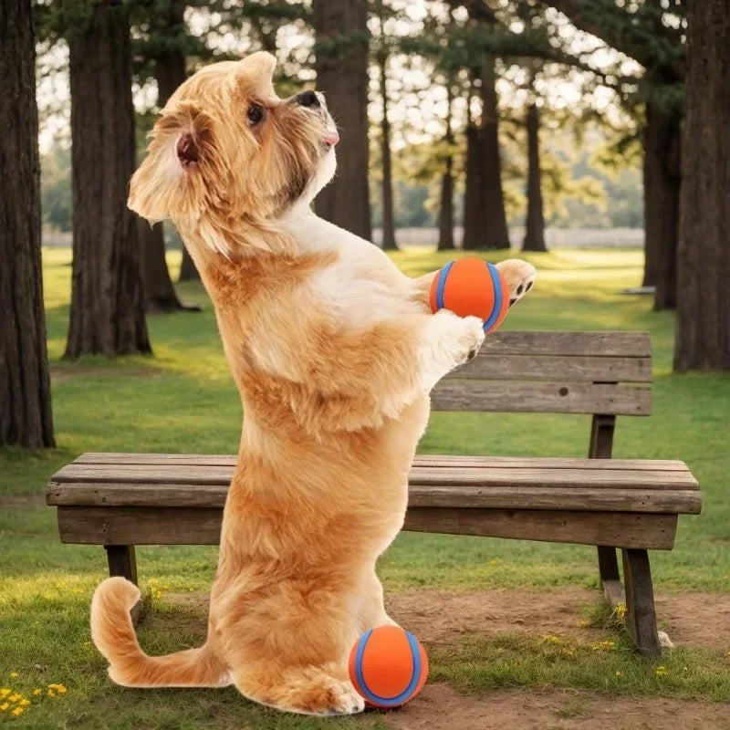 Chuckit!® Durable Tennis Ball Dog Toy - Pack of 4 - Fast & Free US Shipping!