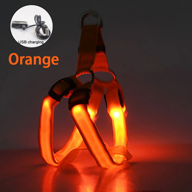 Glow Guard™ USB Rechargeable LED No-Pull Dog Harness - FAST & FREE US Shipping!