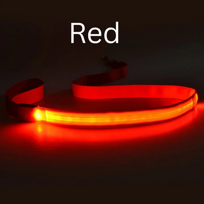 Glowing LED USB Rechargeable Dog Leash - Free Shipping