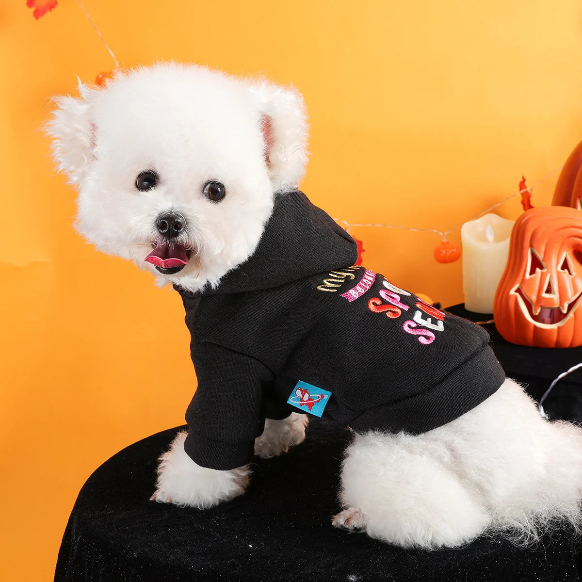 Spooky Season Pet Hoodie