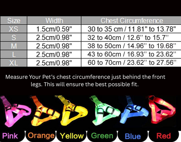 Bright Paws LED Dog Harness