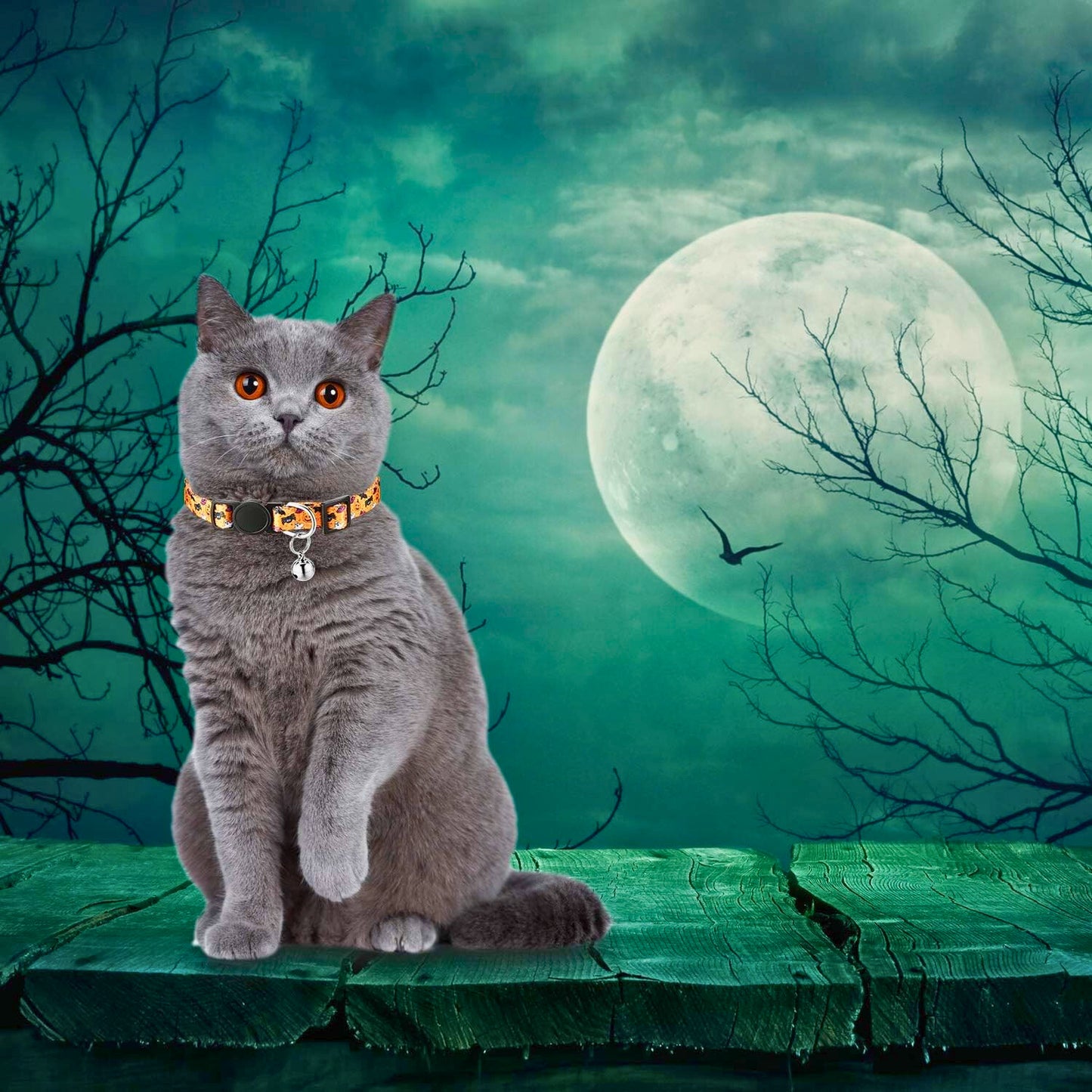 Spooky Whiskers™ Halloween Cat Collar with Safety Buckle & Bell - FREE Shipping!