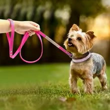 🐾Rhinestone Velvet Dog Collar & Leash Set