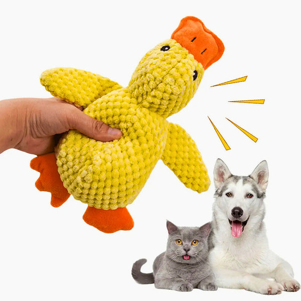 Quack Chew Calming Toy