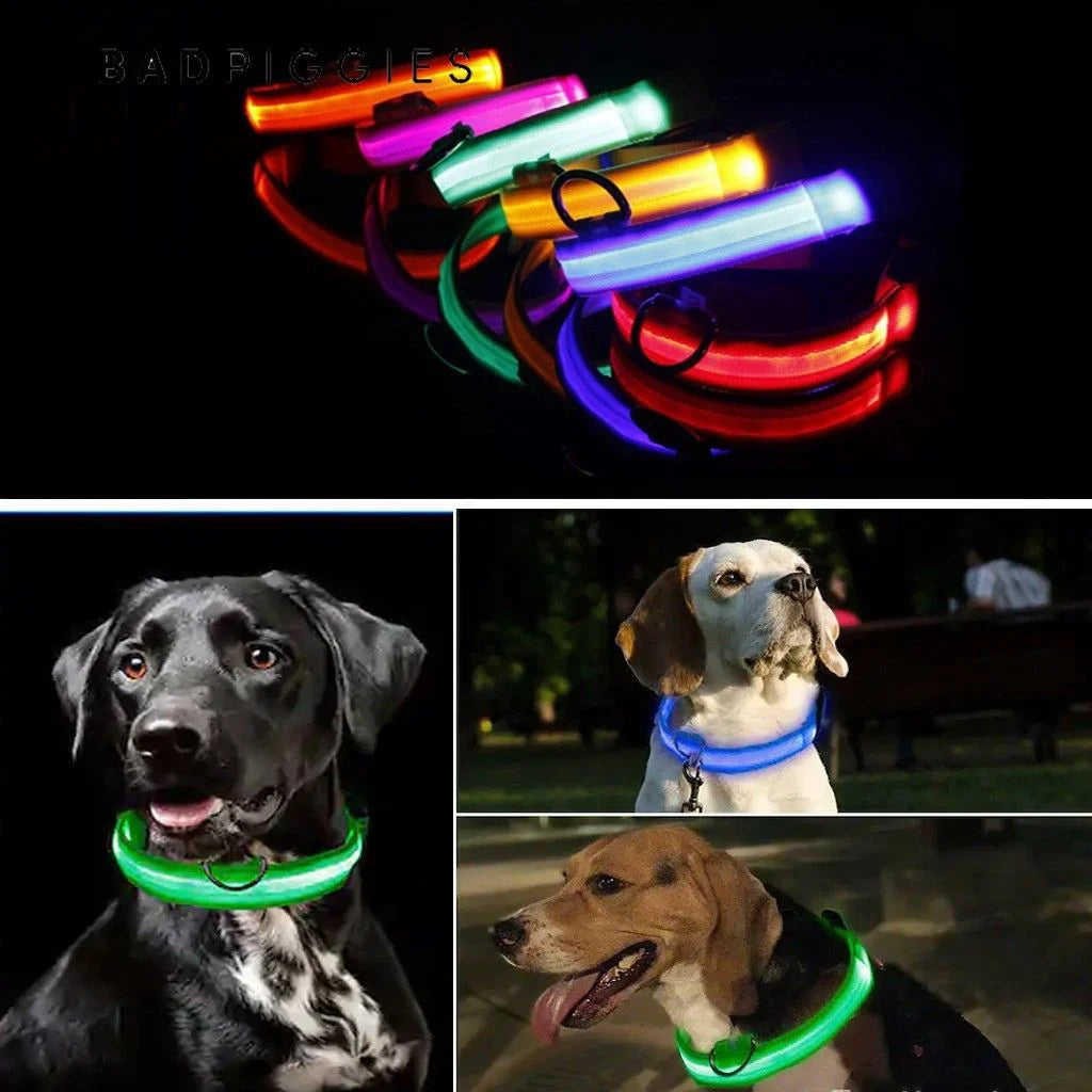 Glo Guard Led Luminous Dog Collar - FREE Shipping 