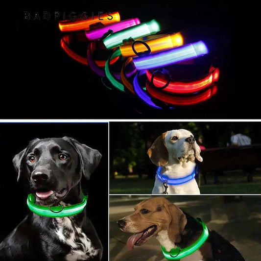 Glo Guard Led Luminous Dog Collar - FREE Shipping 