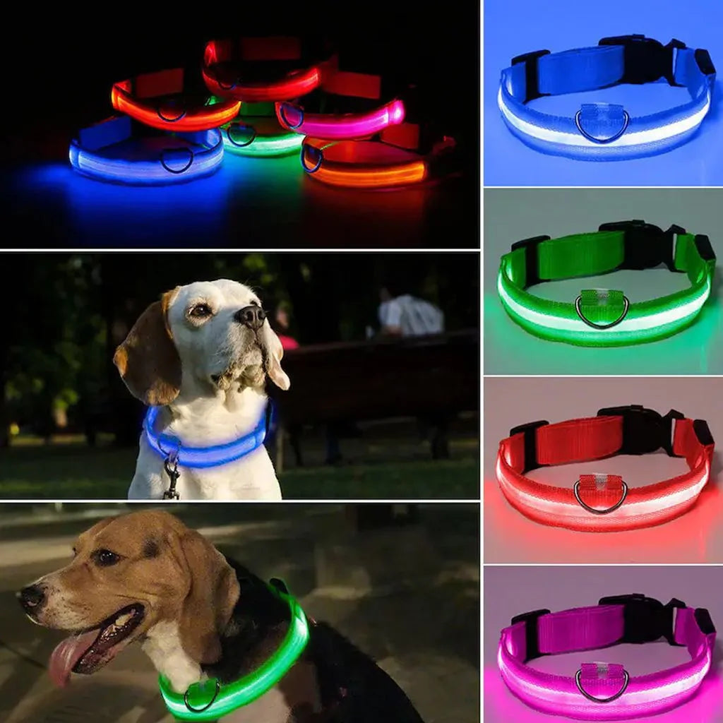 Glo Guard Led Luminous Dog Collar - FREE Shipping 