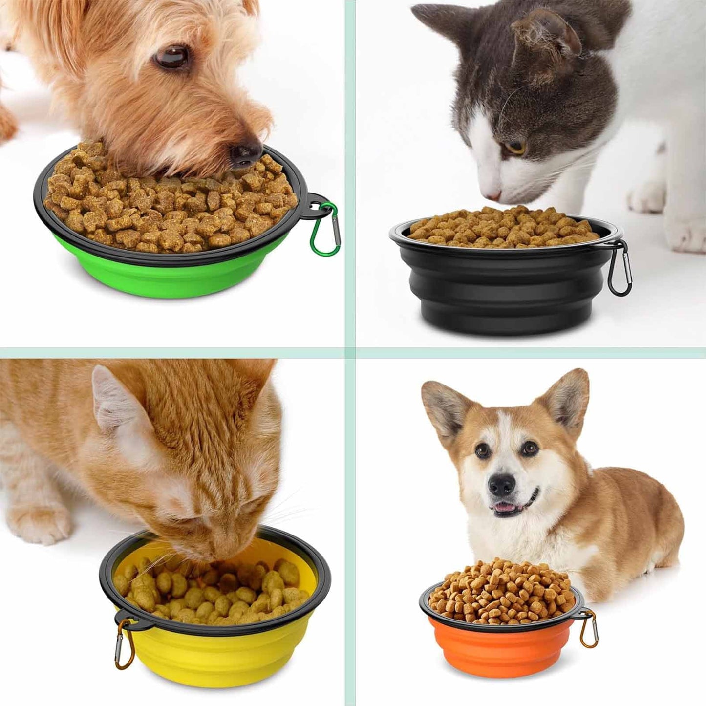 Travel Buddy Portable Dog Bowl Set 5 Pack - FAST & FREE US Shipping!