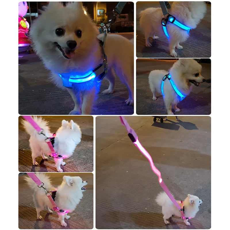 Glow Guard™ USB Rechargeable LED No-Pull Dog Harness - FAST & FREE US Shipping!