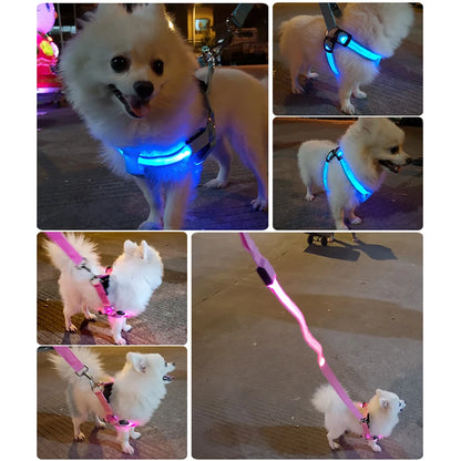 Glow Guard™ USB Rechargeable LED No-Pull Dog Harness - FAST & FREE US Shipping!