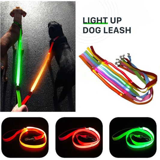 Glowing LED USB Rechargeable Dog Leash - Free Shipping