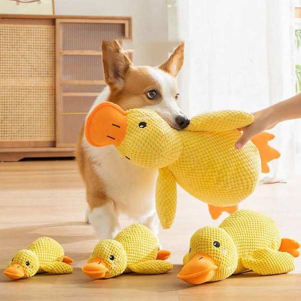Quack Chew Calming Toy