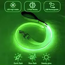 Glowing LED USB Rechargeable Dog Leash - Free Shipping