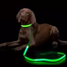 Glowing LED USB Rechargeable Dog Leash - Free Shipping