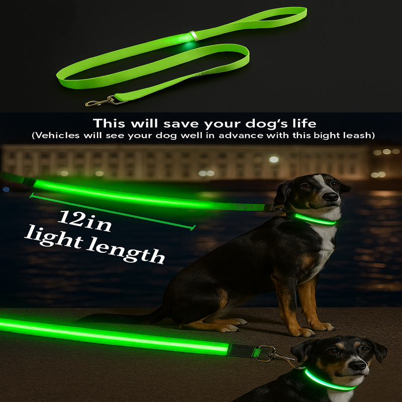 Glowing LED USB Rechargeable Dog Leash - Free Shipping